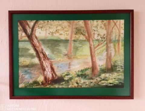 Ve stínu u řeky voda dekorace dekorativní příroda hnědá léto stromy tráva lehká teplé procházka stíny řeka rustikální světla 