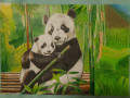 Pandí obejmutí