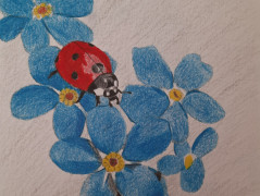 (Ne)proutěné srdce