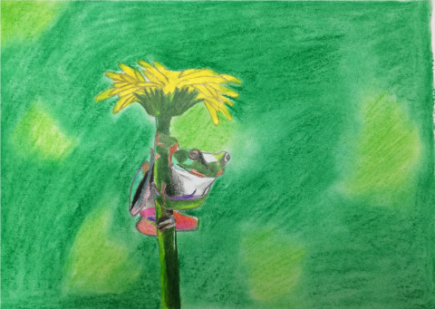 Žabička obrazy zvíře zelená květina obraz zelený příroda obrázek žába kresba umění zvířátko žabička 