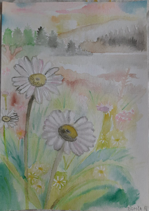 Už to kvete květina obraz malba květiny příroda louka krajina kopretina kopretiny umění kvítí akvarel 