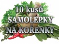 10 kusů - samolepky na KOŘENKY