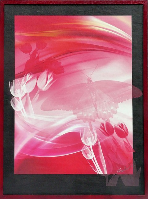 Tulipány dekorace obraz motýl interiér kytky tulipán 