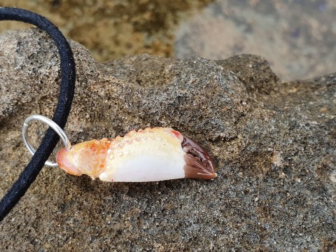 Klepítko-Ibiza náhrdelník moře léto krab klepeto 