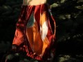 Kapsová sukně Lišky velké červené