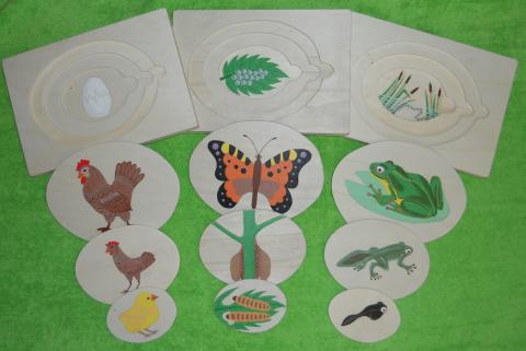 Vývojové puzzle 2+1 zdarma děti malba motýl překližka slepice puzzle vývoj žába vyřezávání didaktická pomůcka skládanka 