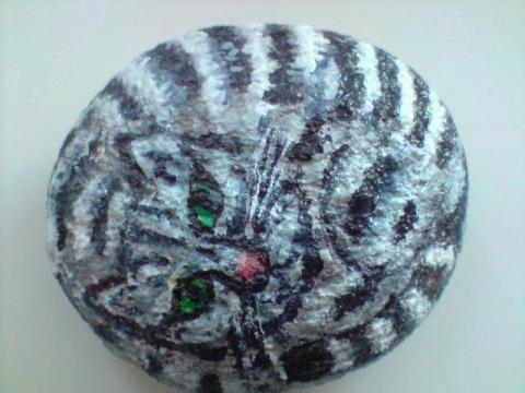 Kočka na kameni kámen kočka 