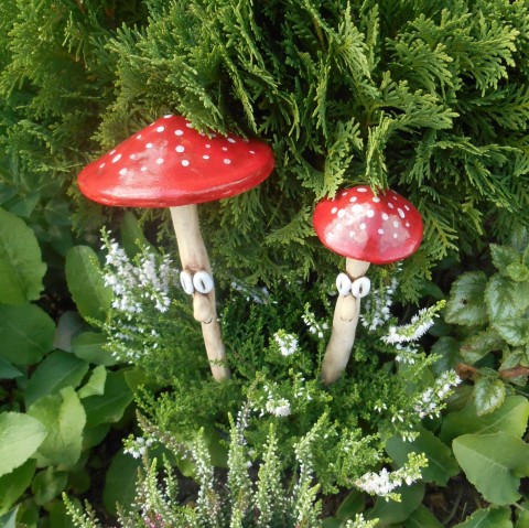 U nás rostou pořád ... :-) zápich podzim lesní podzimní les houba houby muchomůrka 