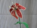 Gloriosa