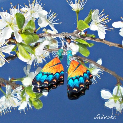 Náušnice motýl - mot44 originální motýl elegantní hravé pestré křídlo kridlo motyl 