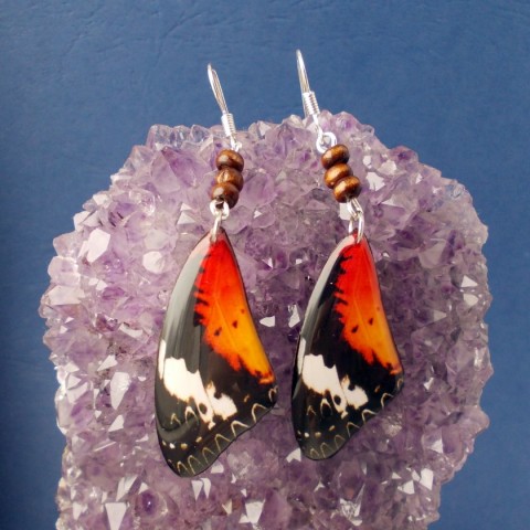 Náušnice motýl - mot45 originální motýl elegantní hravé pestré křídlo kridlo motyl 
