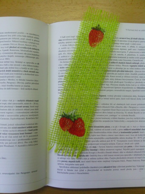 záložka jahoda dárek zelená přírodní decoupage čtení kniha záložka jahoda záložky knižní do knihy čtenář 