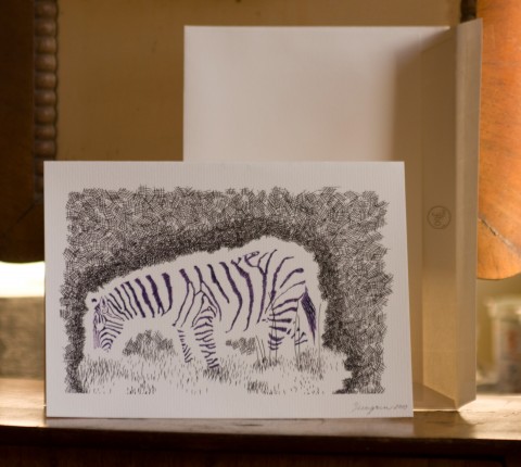 Noční zebra pozitivní - přání přání přáníčko zebra pruhy zvíře 