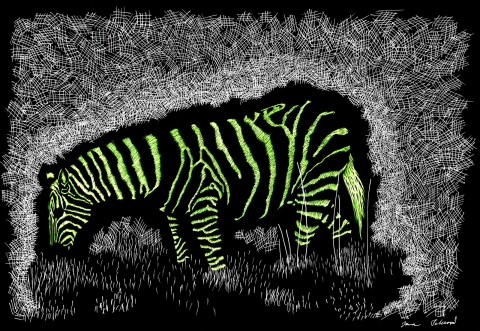 Noční zebra negativní tuš kresba černá bílá zelená zeb 