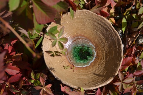 Mísa - podzimní záležitost dekorace podzim sklo list zelené zahrada miska mísa pítko 
