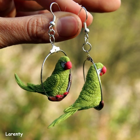 Papoušek zelený- náušnice klec pták ptáček papoušek mluvící pěří 