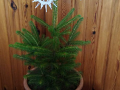 Kuchyňská chňapka č.6- sada 2ks