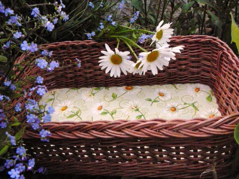 Košík s kopretinkami domov dekorace dárek box ošatka pedig košík šuplík květiny originál proutí hranatý koš 