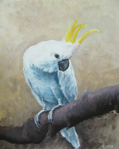 Kakadu obraz akryl papoušek zvířata plátno kakadu 