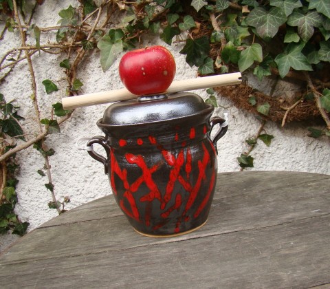 Ohňová země .... minikvašák domov červená oheň kuchyně kvašák pickles zelenina puntíky chalupa zdraví kvašení salát hrnec zelí minikvašák 