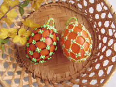 Vánoční hvězda - Fialka