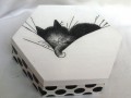 bonbonérka-krabička kotě už spí...