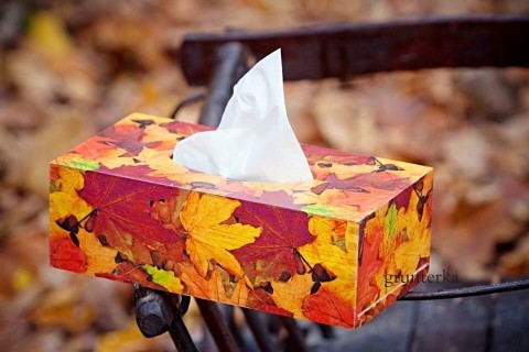na kapesníky -podzimní listí listy krabička kapesníky krabice decoupage ubrousek grunterka kapesník ubrousky listí 