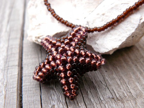 Hnědo-měděná hvězdice mořská hnědá měděná hvězdice 