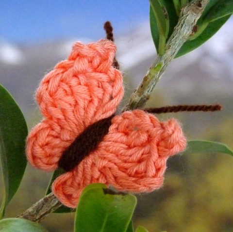 Háčkovaný motýlek - lososový dekorace oranžová motýl jarní bavlna háčkovaný háčkování jaro motýlek lososová ozdoba aplikace bavlněný svěžest k zdobení lososový. 