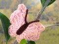 Háčkovaný motýlek - růžový