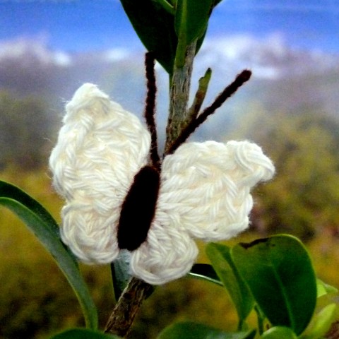 Háčkovaný motýlek - smetanový dekorace motýl jarní bavlna bílá háčkovaný háčkování louka jaro motýlek ozdoba aplikace smetanová bavlněný nášivka svěžest k zdobení 