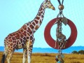 Dlouhý náhrdelník - žirafa