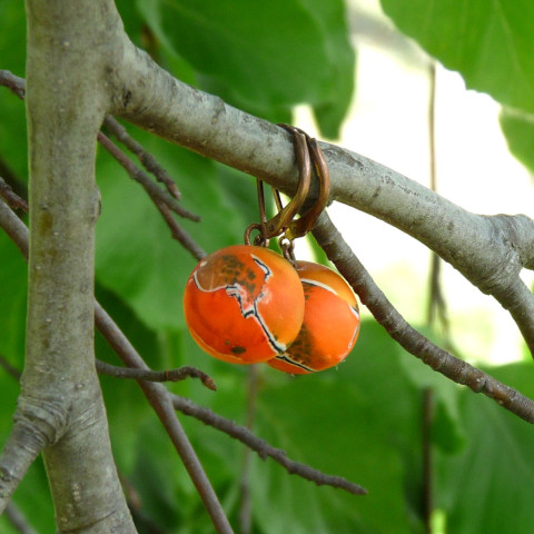 Náušnice - meruňky náušnice kuličky dívčí ovoce fimo originál nápadné oranžové zářivé polymer handmade ovocné orange polymerová hmota meruňky úroda rozpustilé řádivé sklizen 