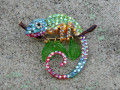 Brož - chameleon