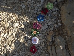 V Chorvatsku rozkvetly kamínky