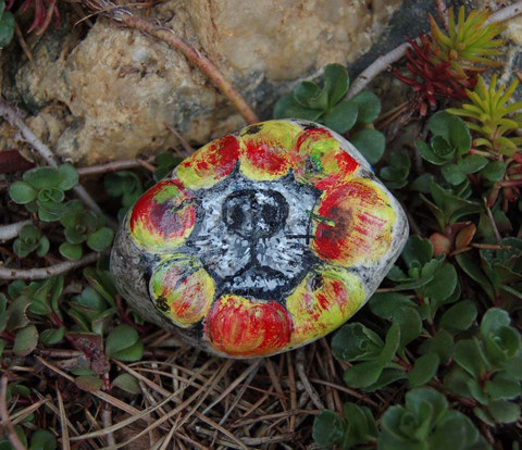 Všetečný čumák v jablkách 