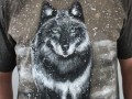 Black wolf, vel. XL