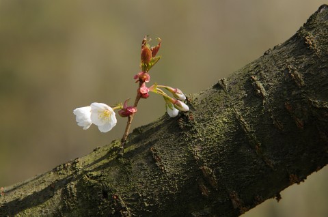 Nový začátek fotografie obrázky bytové doplňky plakáty 