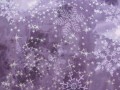 Vánoční běhoun fialový - hvězdy