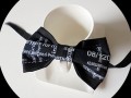 Elegantní motýlek - dvojitý