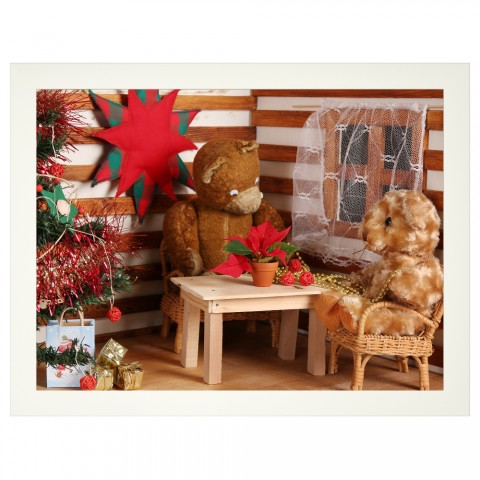 Medvídci - Vánoční hvězda do dekorace pro děti pokojíčku obrázky dětského vybavení dětských pokojíčků fotoobrázky fototapety 