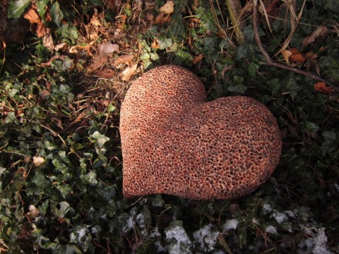 Srdce hnědé velké domov srdce dárek radost keramika interiér láska zahrada na zeď 