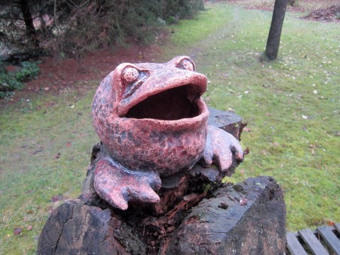 Žába domov zvíře dekorace dárek radost interiér veselé zahrada žába jezírko ropucha exteriér terasa 