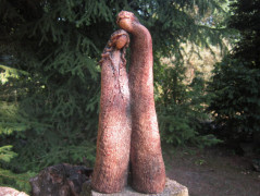 Z džungle