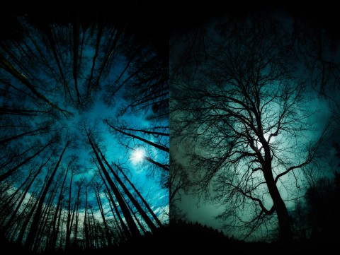 Mystická nos foto fotografie strom příroda nebe noc měsíc fotoobraz mystická noc stormy 