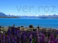 Jezero Tekapo 2