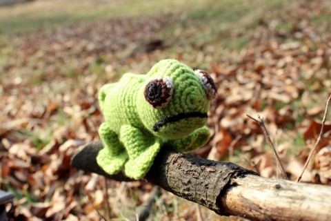 Chameleon zvíře dárek radost děti hračka chameleon barevný hravý zvířátko amigurumi darovat háčkovat chamik chamouš pomalý zábavný potěšit 