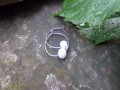 Naušnice nerezovíé kroužky s perlou