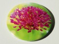 Magnet Česnek v květu (58)