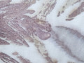 Eko-print, bavlna a len, 75 x 30 cm
